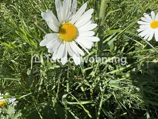 Wohnung zur Miete Tauschwohnung 2.100 € 4 Zimmer 120 m² Westend Charlottenburg-Wilmersdorf 10585