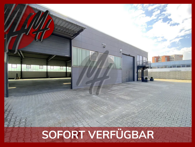 Lagerhalle zur Miete 810 m² Lagerfläche Dieburg 64807