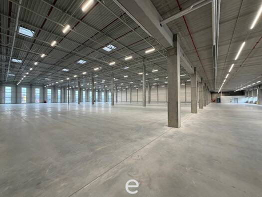 Lagerhalle zur Miete 7.977,1 m² Lagerfläche Enns 4470