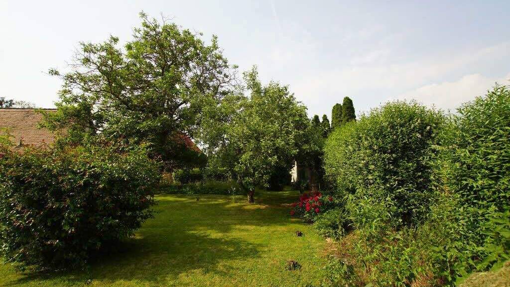 Grundstück zum Kauf 95.000 € 743 m² Grundstück Straße des Friedens 15 Hohenweiden Schkopau-Hohenweiden 06258