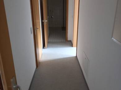 Wohnung zur Miete 280 € 2 Zimmer 53,5 m² 1. Geschoss frei ab sofort Dörnthal 169 Pfaffroda-Dörnthal Olbernhau 09526