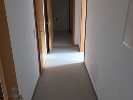 Wohnung zur Miete 280 € 2 Zimmer 53,5 m² 1. Geschoss frei ab sofort Dörnthal 169 Pfaffroda-Dörnthal Olbernhau 09526