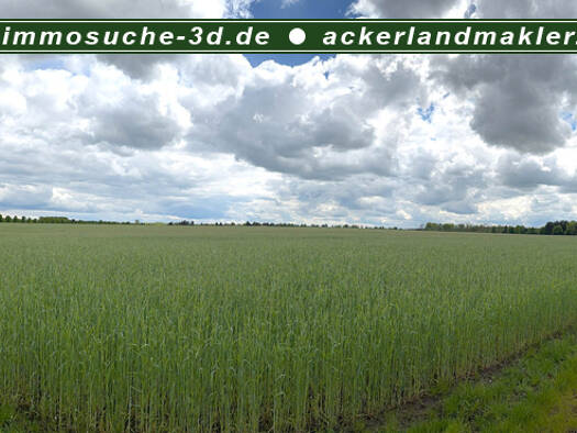 Land-/Forstwirtschaft zum Kauf 810.813 m² Grundstück Friedländer Landstraße Anklam Anklam 17389