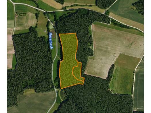 Land-/Forstwirtschaft zum Kauf 115.000 € 44.954 m² Grundstück Gleizendorf Petersaurach 91580