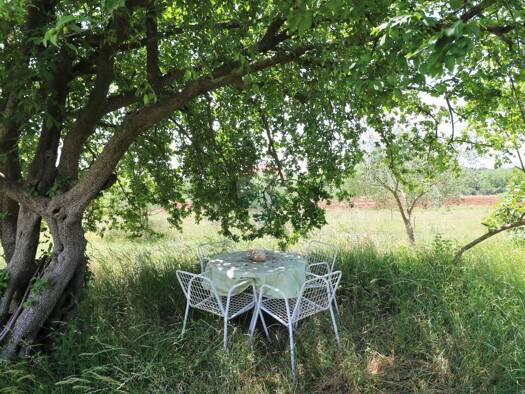 Gewerbegrundstück zum Kauf 431.500 € Poreč 52440