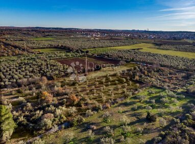 Land-/Forstwirtschaft zum Kauf 40.000 € Fazana center 52212