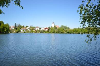 Büro-/Praxisfläche zum Kauf 10 Zimmer 217 m² Bürofläche Bad Waldsee Bad Waldsee 88339