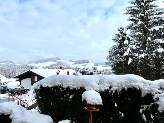 Terrassenwohnung zum Kauf provisionsfrei 149.000 € 1,5 Zimmer 50 m² EG frei ab sofort Hochgratstr. 304 Oberreute 88179