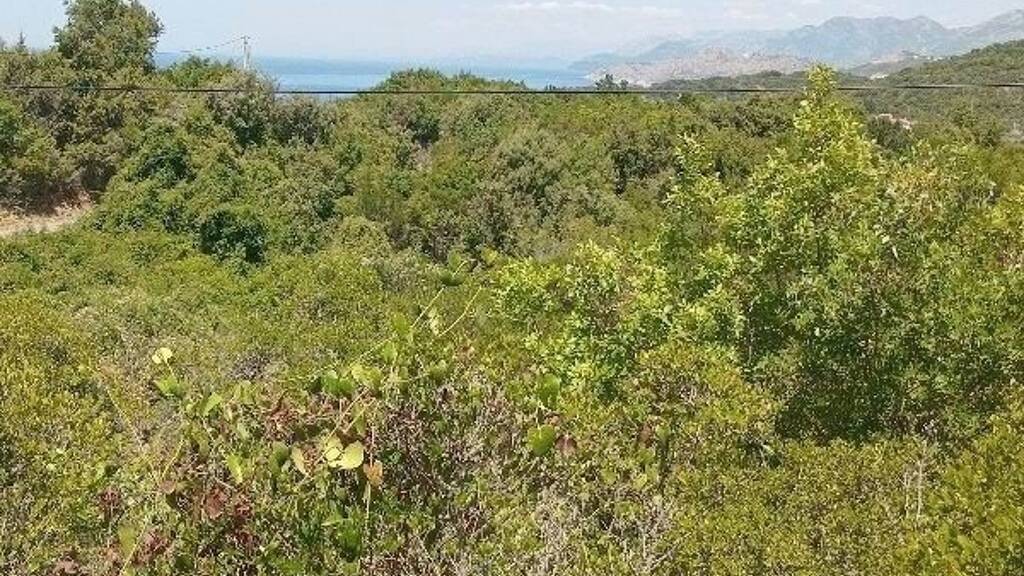 Grundstück zum Kauf 98.000 € 1.900 m² Grundstück Bar-Utejha 85356