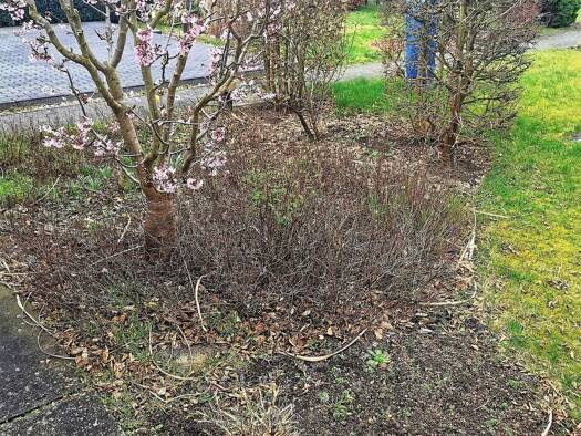 Grundstück zum Kauf 772 m² Grundstück Dahlewitz Blankenfelde-Mahlow 15827