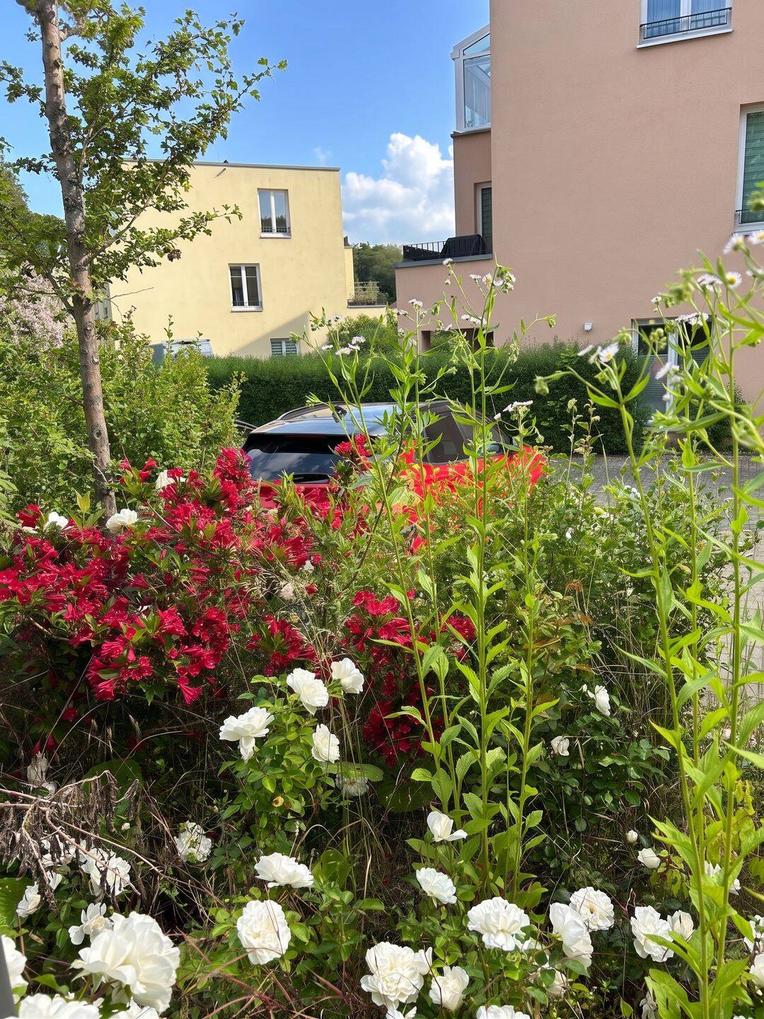 Wohnung zum Kauf – pohled 4
