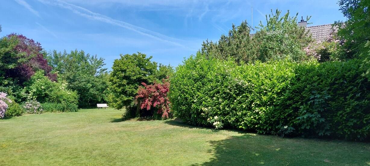 Einfamilienhaus zum Kauf - Ansicht 6