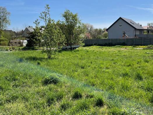 Grundstück zum Kauf 60.000 € 502 m² Grundstück Grimma Grimma 04668