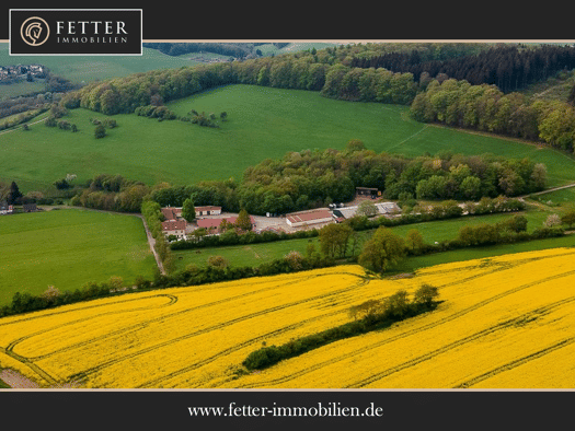 Land-/Forstwirtschaft zum Kauf 148.811 m² Grundstück St. Wendel Sankt Wendel 66606