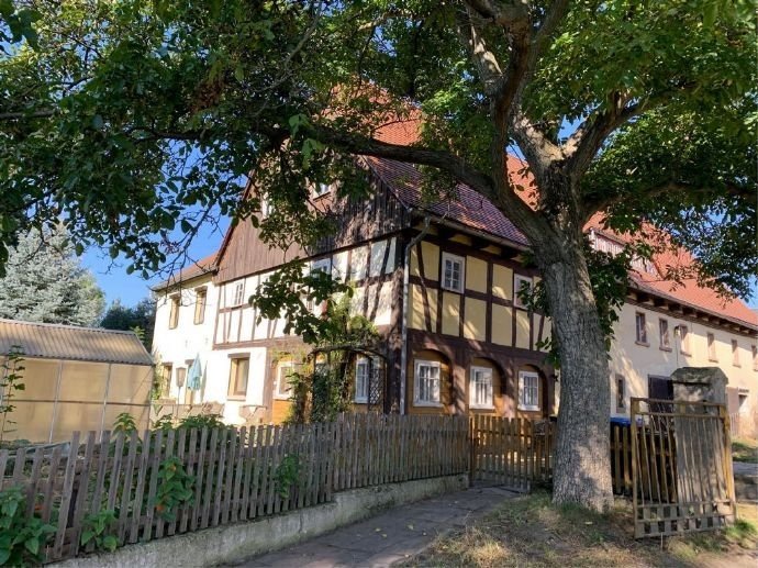 Bauernhaus zum Kauf 150.000 € 10 Zimmer 150 m²<br/>Wohnfläche 7.500 m²<br/>Grundstück Spitzkunnersdorf Leutersdorf / Spitzkunnersdorf 02794