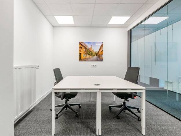 Bürofläche zur Miete provisionsfrei 1.749 € 30 m² Bürofläche Viktoriastraße 3 b Innenstadt Innenstadt 86150
