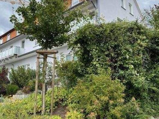 Wohnung zur Miete 680 € 1 Zimmer 55 m² EG frei ab 01.01.2027 Himmelsruh 14 Geismar Göttingen 37085