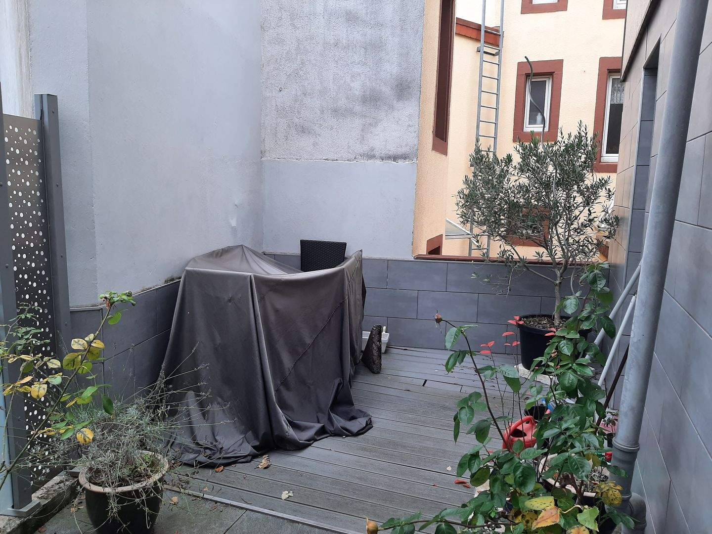 Immobilie in Pirmasens - Einfamilienreihenhaus mit kleiner Terrasse in zentraler Lage - Bild 4