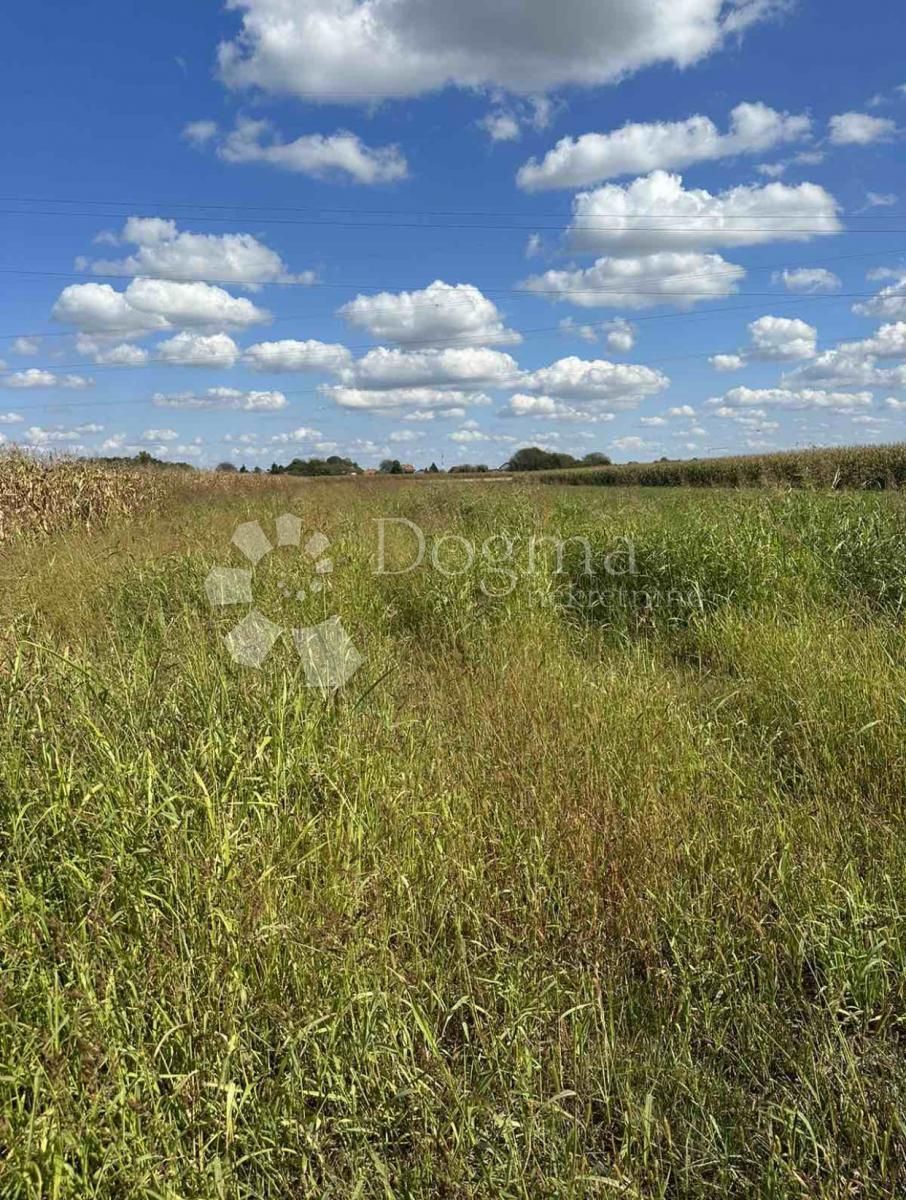 Land-/Forstwirtschaft zum Kauf 25.000 € Bednja center 42000