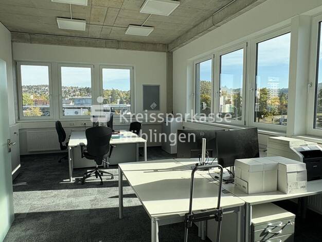 Büro zur Miete 2.900 € Eltingen Leonberg 71229