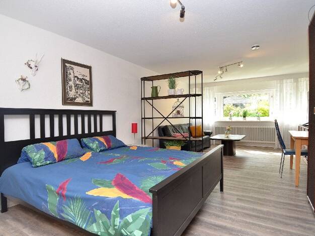 Wohnung zur Miete 890 € 1,5 Zimmer 43 m² 1. Geschoss frei ab 11.07.2026 Bad Säckingen 79713