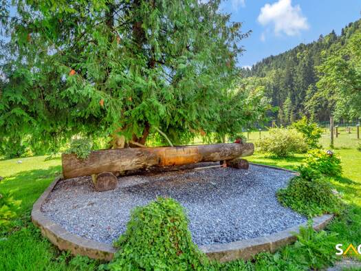 Bauernhaus zum Kauf 9.995.000 € 735 m² 400.000 m² Grundstück Werfen 5450