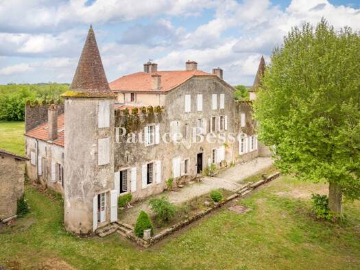 Schloss zum Kauf 590.000 € 14 Zimmer 1.400 m² 97.166 m² Grundstück Centre Ville Mont-de-Marsan 40000