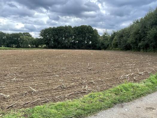 Land-/Forstwirtschaft zum Kauf 26.410 m² Grundstück Haltern Haltern am See 45721