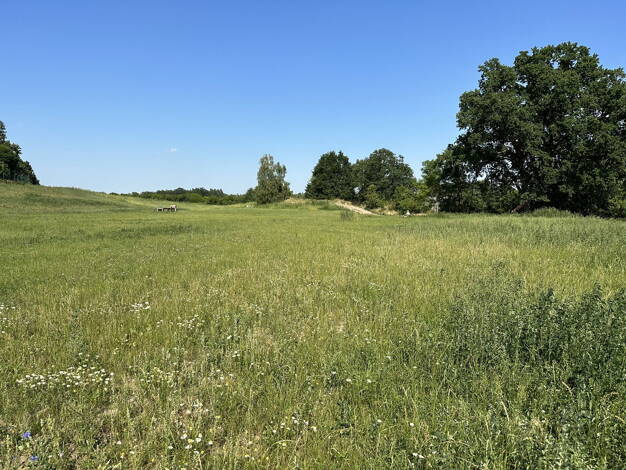 Grundstück zum Kauf provisionsfrei 125.000 € 2.126 m² Grundstück Bokelstr. 6 Breetze Bleckede (Breetze) 21354