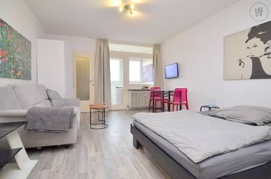 Wohnung zur Miete Wohnen auf Zeit 1.050 € 1 Zimmer 38 m² frei ab sofort Rosenau Nürnberg 90429