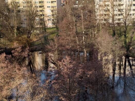 Wohnung zur Miete 780 € 3 Zimmer 67 m² Geschoss 8/9 frei ab 01.02.2026 Nordstadt Fürth 90765