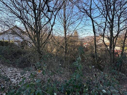 Grundstück zum Kauf 14.000 € 2.756 m² Grundstück Lauterecken 67742