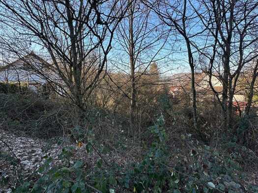 Grundstück zum Kauf 9.999 € 2.756 m² Grundstück Lauterecken 67742