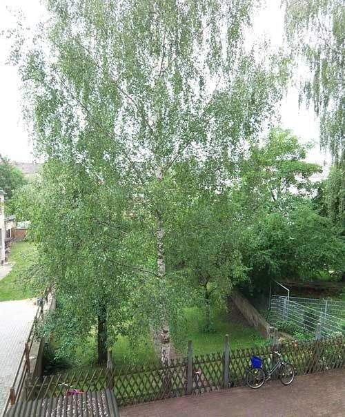 Immobilie in Leipzig - Attraktives MFH mit Klinkerfassade im schönen Leutzsch! - Bild 3