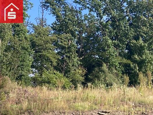 Grundstück zum Kauf 245.750 € 983 m² Grundstück Meschede Meschede 59872