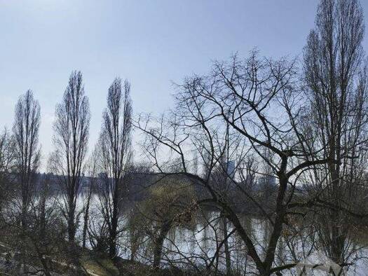 Gewerbeobjekt zum Kauf als Kapitalanlage geeignet 1.750.000 € 549 m² 491 m² Grundstück Bürgel Offenbach-Bürgel 63075