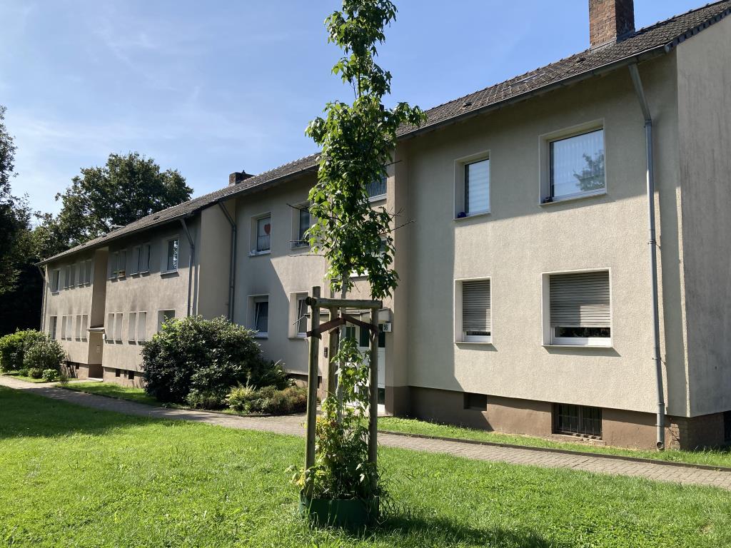 Wohnung zur Miete 513 € 2,5 Zimmer 57 m²<br/>Wohnfläche EG<br/>Geschoss 01.01.2025<br/>Verfügbarkeit Stettiner Straße 56 Altstadt II - Nord Mülheim 45473