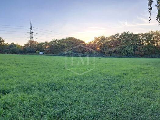 Land-/Forstwirtschaft zum Kauf 60.150 € 8.020 m² Grundstück Bergheim Bergheim 50126