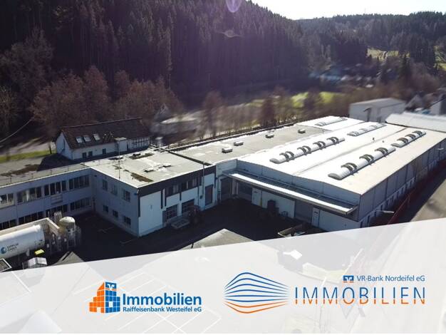 Lagerhalle zum Kauf 3.610 m² Lagerfläche Hellenthal 53940