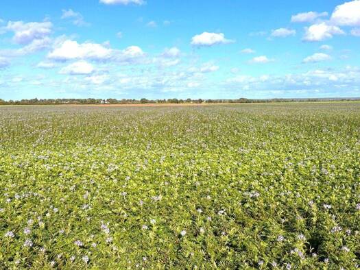 Land-/Forstwirtschaft zum Kauf 139.814 m² Grundstück Blessem Erftstadt / Köttingen 50374