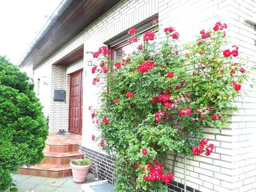 Einfamilienhaus zum Kauf 395.000 € 4,5 Zimmer 138 m² 657 m² Grundstück frei ab sofort Hemdingen 25485