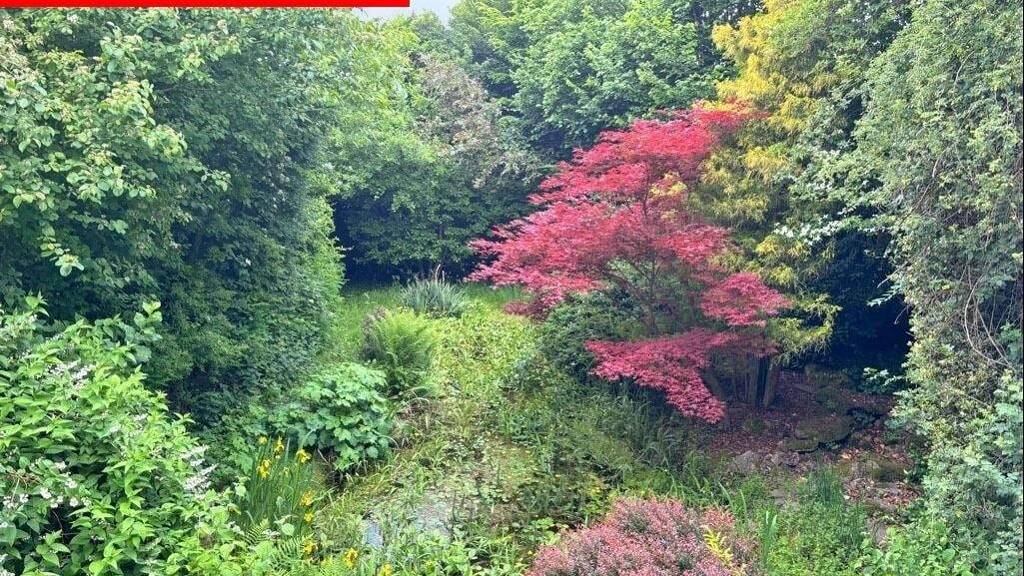 Grundstück zum Kauf 145.000 € 669 m² Grundstück Mensengesäß Mömbris 63776