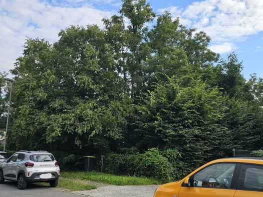 Grundstück zum Kauf 355.000 € 671 m² Grundstück Niederdorla Berlin Staaken 13597