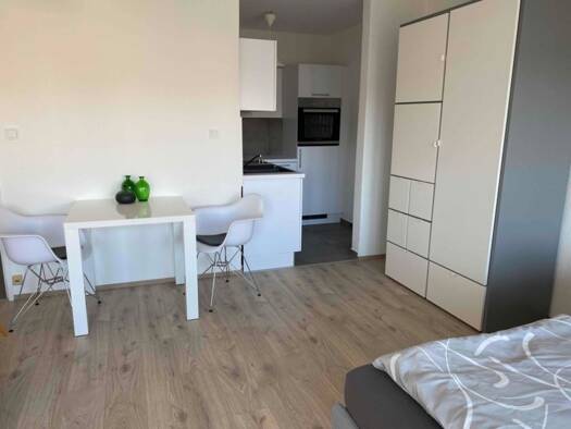 Studio zur Miete 470 € 1 Zimmer 40 m² Geschoss 3/4 frei ab 23.09.2026 Schulstraße 9 Mitte Ludwigshafen am Rhein 67059