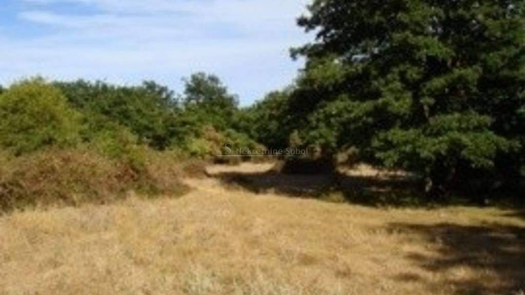 Land-/Forstwirtschaft zum Kauf 180.000 € Cres