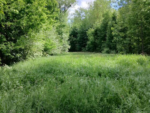 Land-/Forstwirtschaft zum Kauf 129.900 € 14.960 m² Grundstück Pfahlhof Buxheim 85114