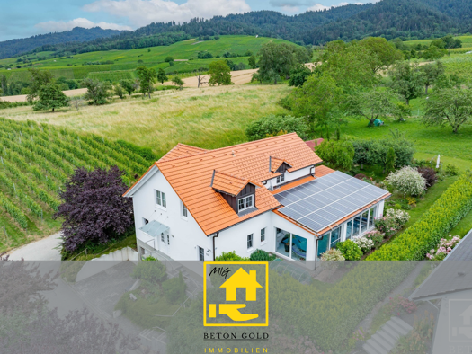 Villa zum Kauf 1.099.000 € 6 Zimmer 245 m² 1.049 m² Grundstück Britzingen Müllheim im Markgräflerland 79379