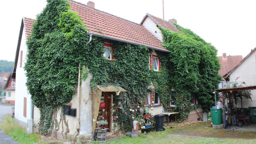 Bauernhaus zum Kauf 115.000 € 5 Zimmer 120 m² 298 m² Grundstück Lauter Laubach 35321