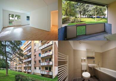 Wohnung zur Miete 250 € 1 Zimmer 40 m² 1. Geschoss Am Mühlteich 12 Freiberg Freiberg 09599