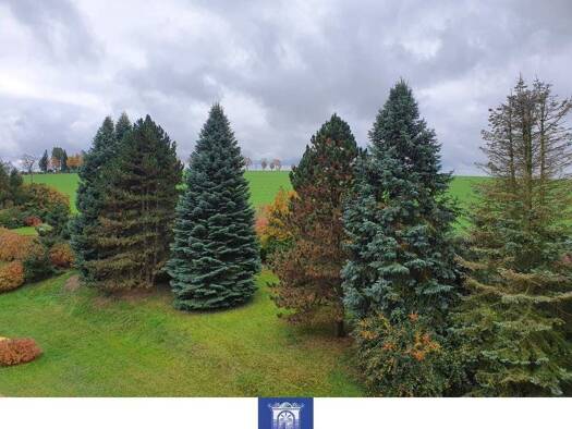 Wohnung zur Miete 535 € 3,5 Zimmer 93 m² frei ab 01.03.2026 Pretzschendorf Klingenberg 01774